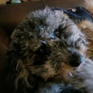 Meet your Posher, Jamee